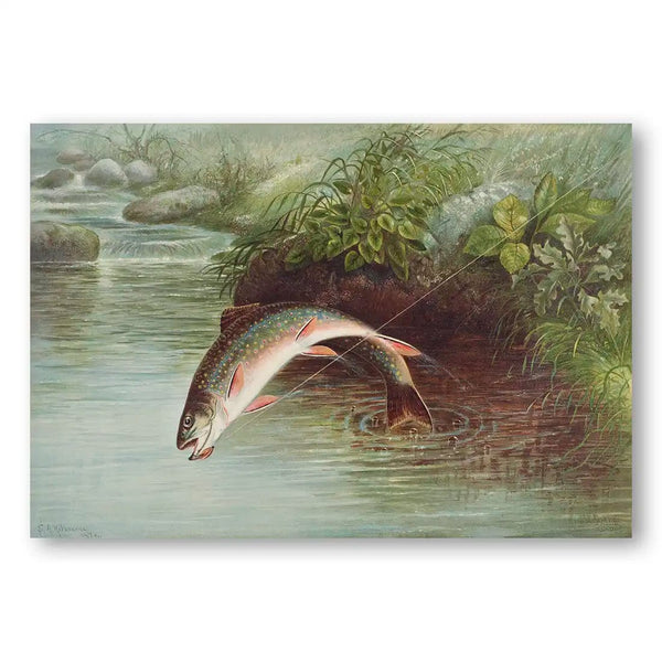 Leaping Brook Trout Art Print