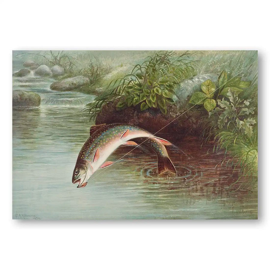 Leaping Brook Trout Art Print