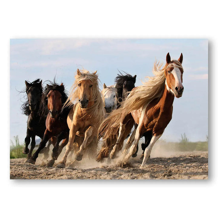 Lucky Six Gallop Photo Print