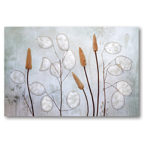 Lunaria Art Print