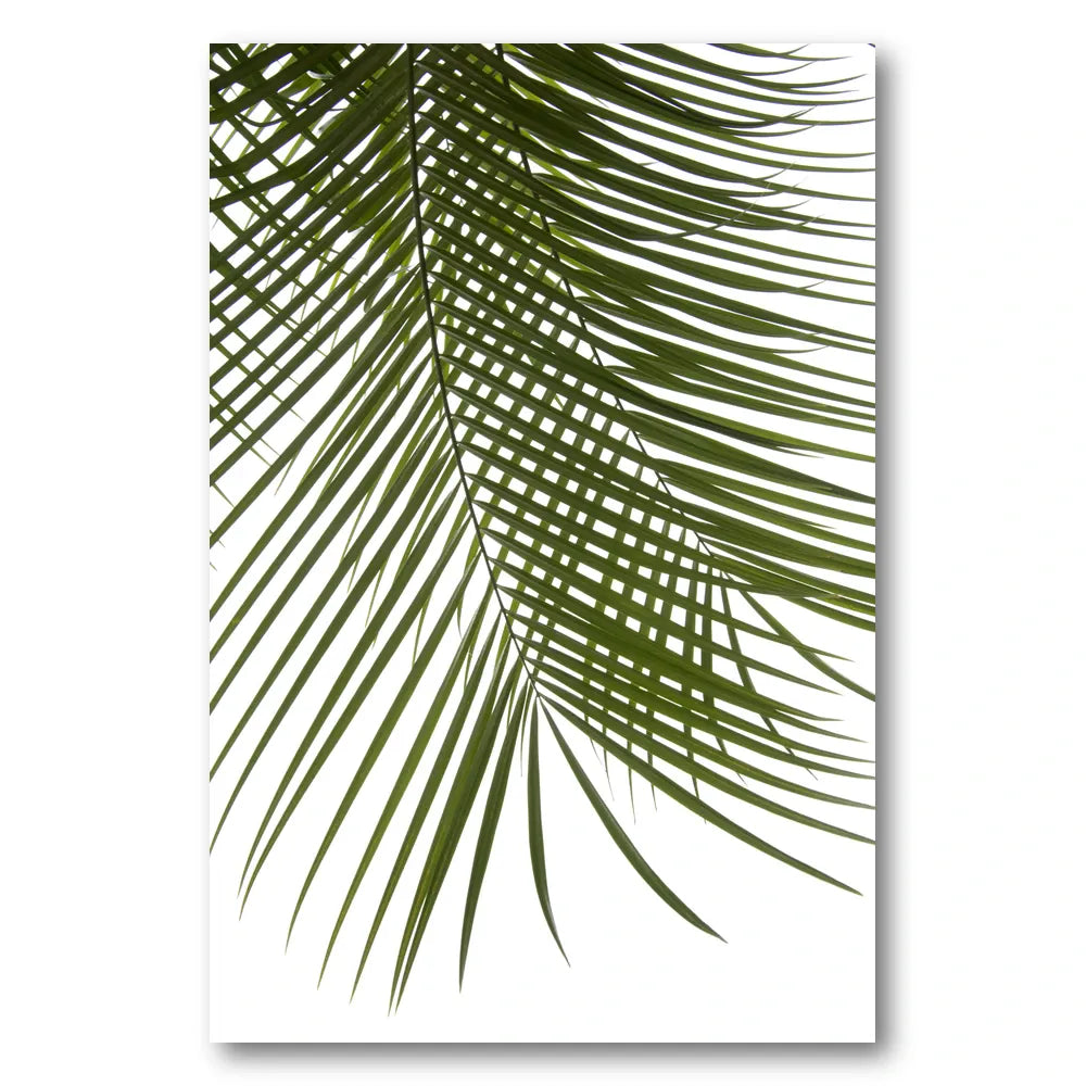 Lush Green Palm Leaf Photo Print