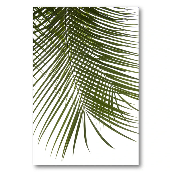 Lush Green Palm Leaf Photo Print