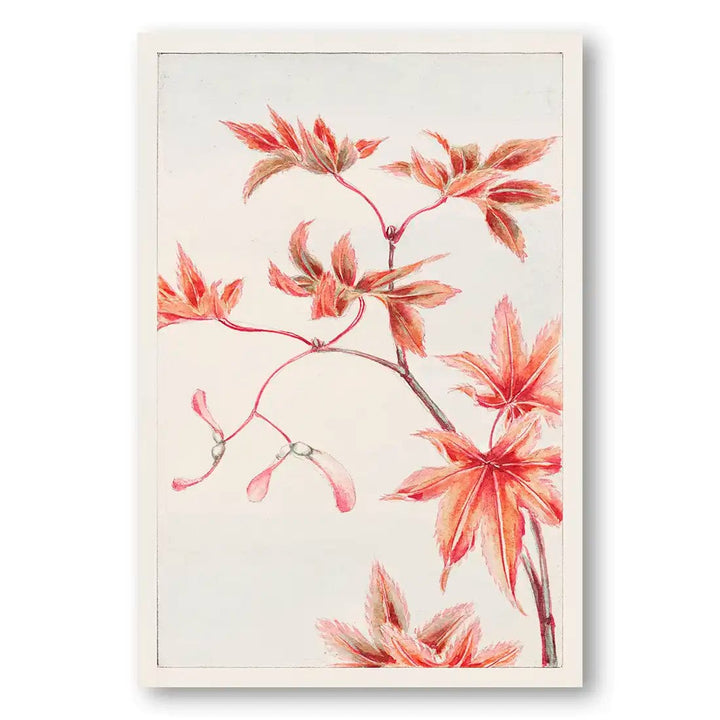 Maple Tree Branch by Megata Morikaga Art Print