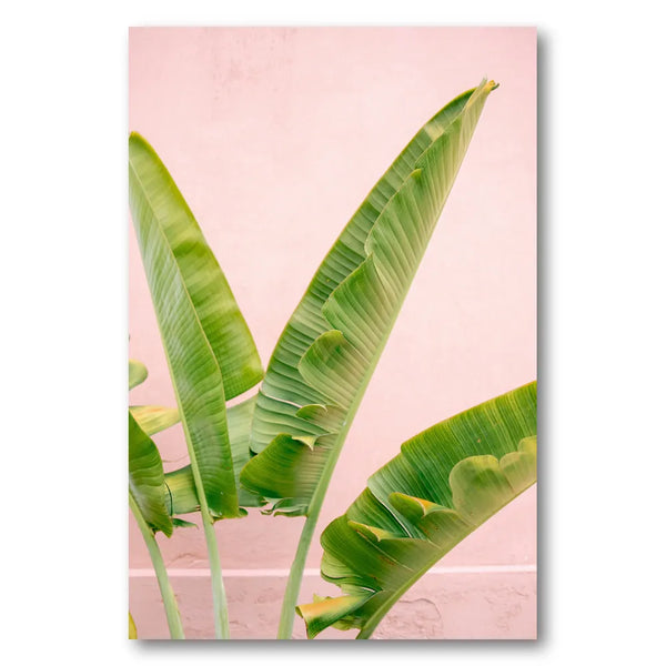 Merida Green on Pink Photo Print