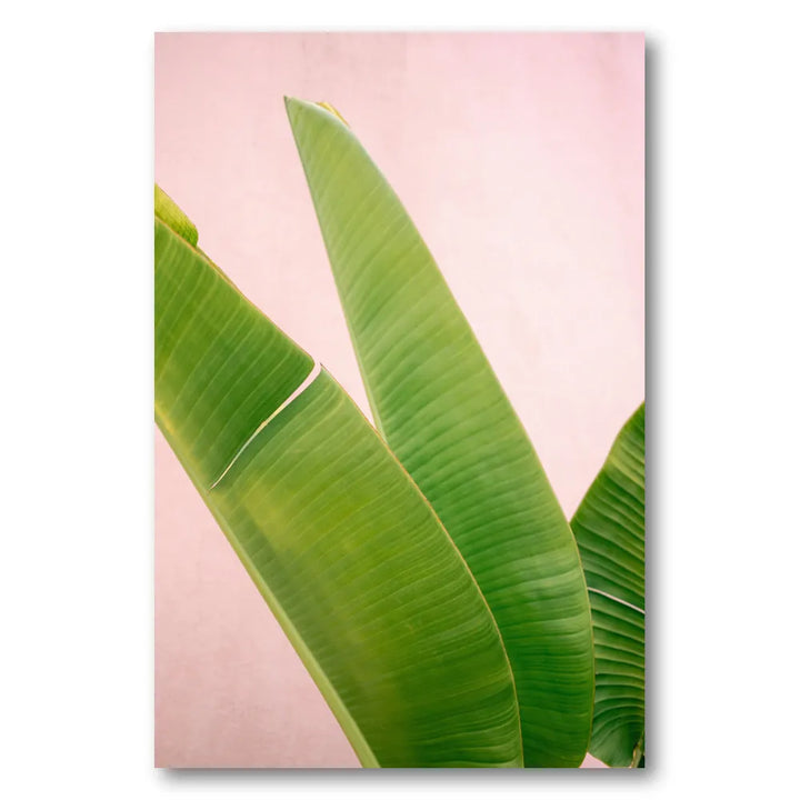 Merida Green on Pink Photo Print