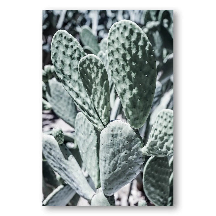 Mexi Pears Cactus Cluster Photo Print