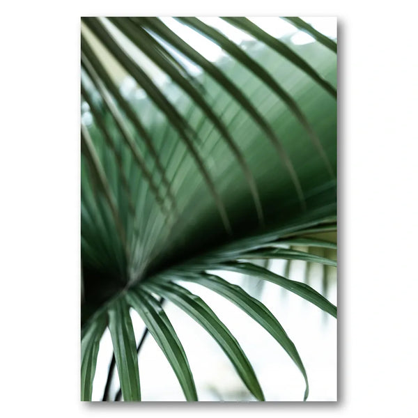 Minimalist Palm Leaf Photo Print
