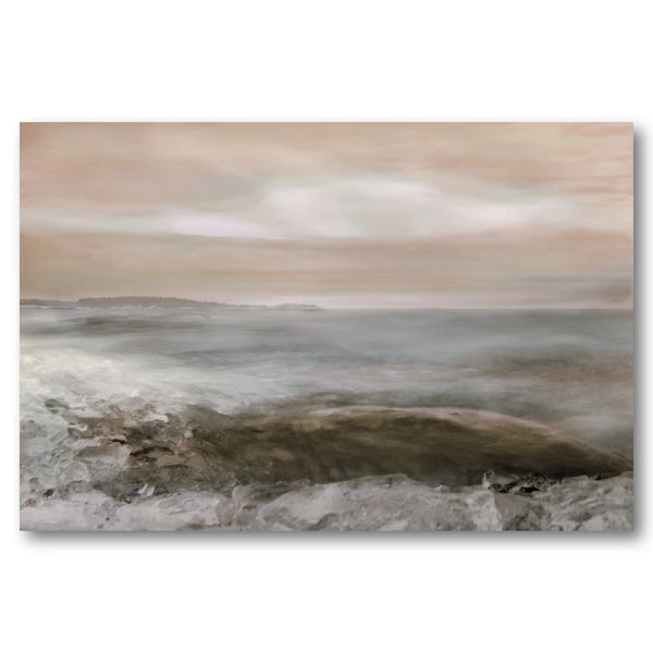 Misty Coastal Serenity Art Print