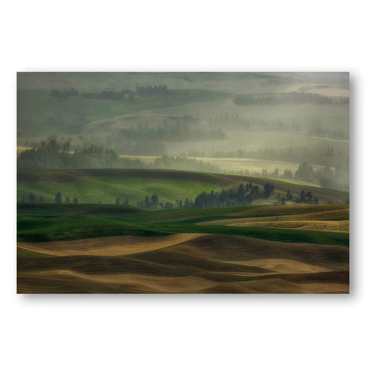 Misty Morning Hills Photo Print