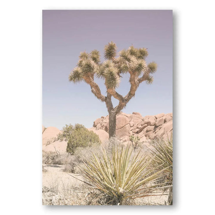 Mojave Desert Serenity Photo Print