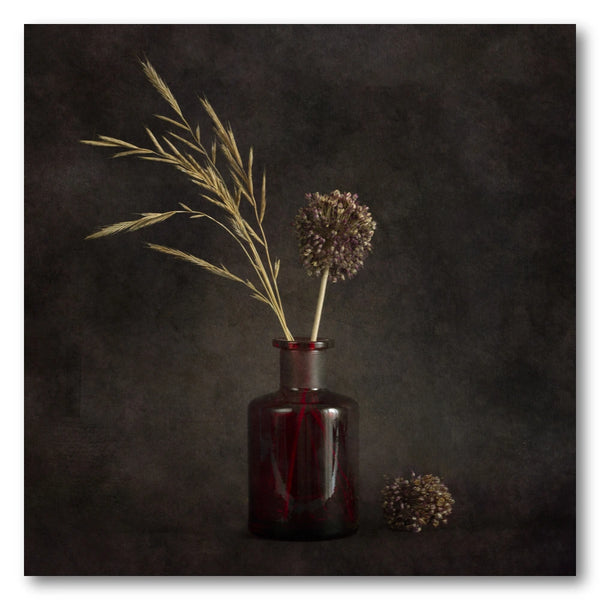 Moody Dried Botanicals Art Print