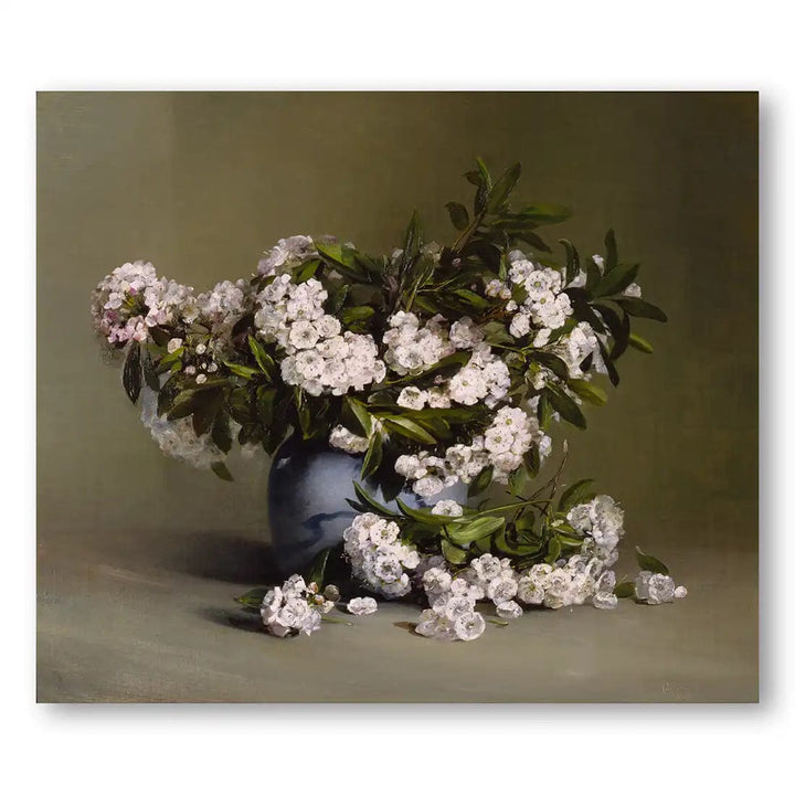 Mountain Laurel Still LIfe Art Print