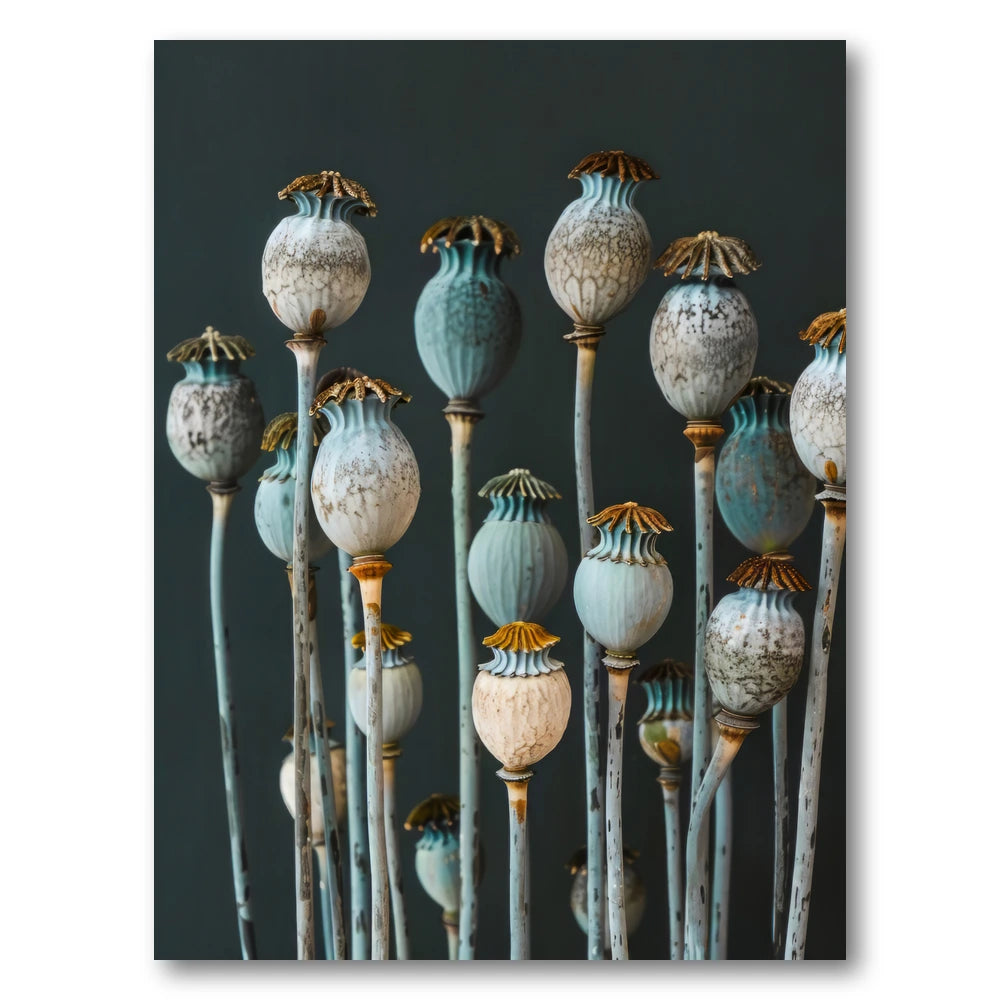 Muted Poppy Seed Heads Art Print