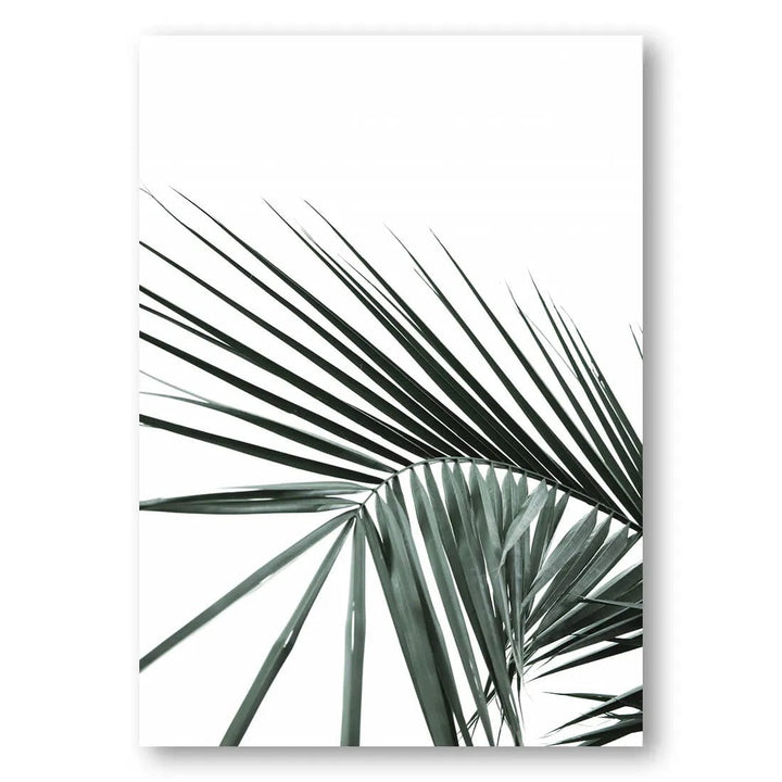 Mint Palm Serenity Photo Print