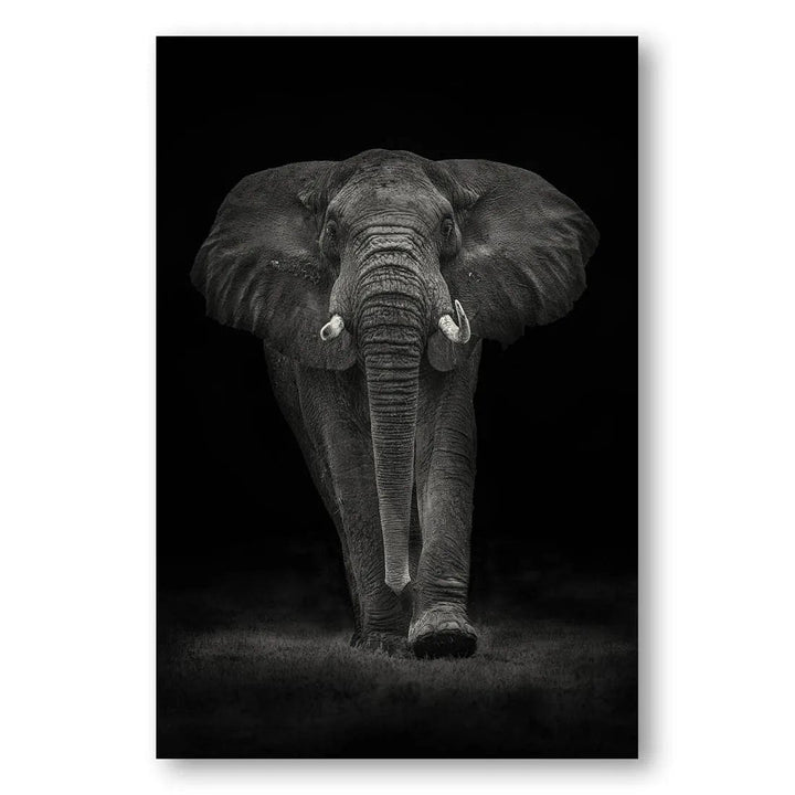 Ngorongoro Elephant Majesty Photo Print