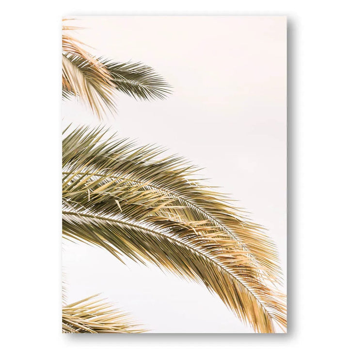 Swaying Oasis Palms Photo Print