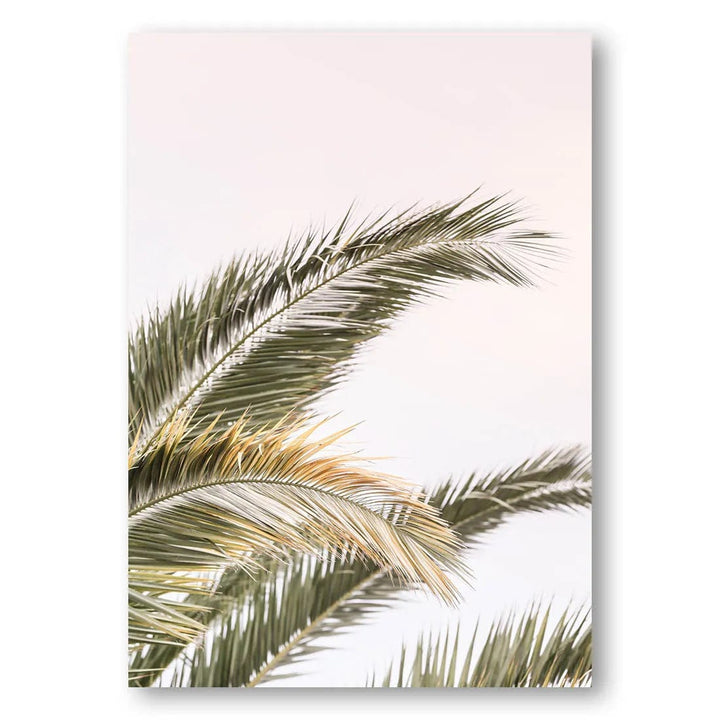 Oasis Palm Swaying Photo Print