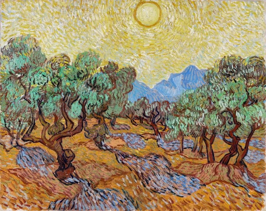 Olive Trees by Vincent Van Gogh Art Print