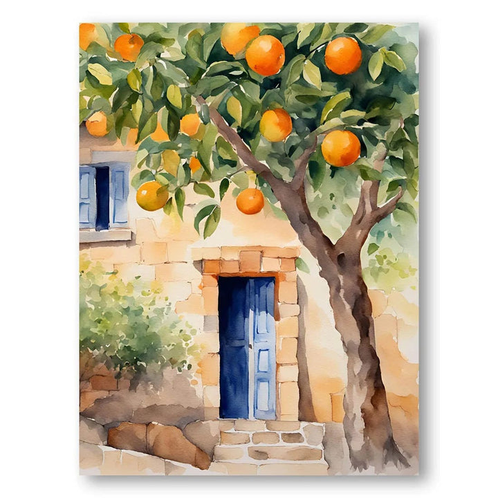 Orange Tree By Door Art Print