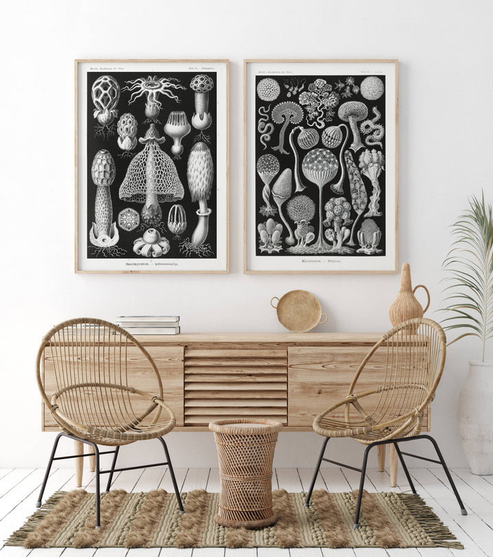 Pair of Black & White Deep Sea Coral Art Prints