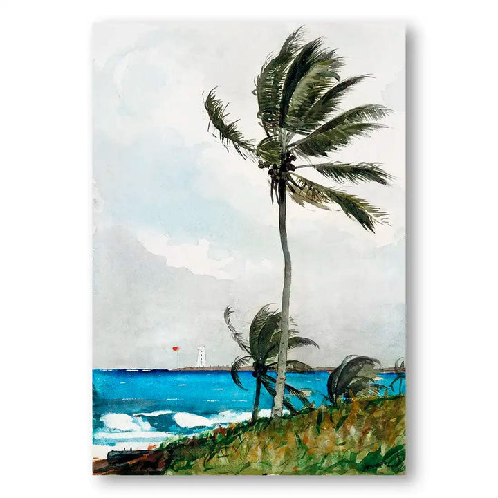 Palm Tree by Winslow Homer Art Print