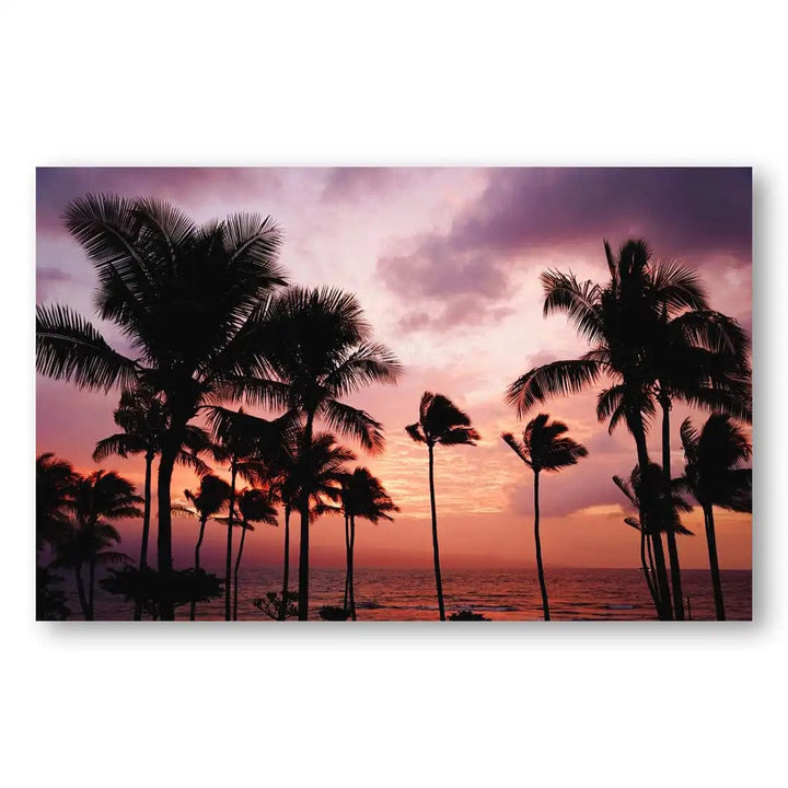 Palm Trees & Purple Skies Photography Art Print