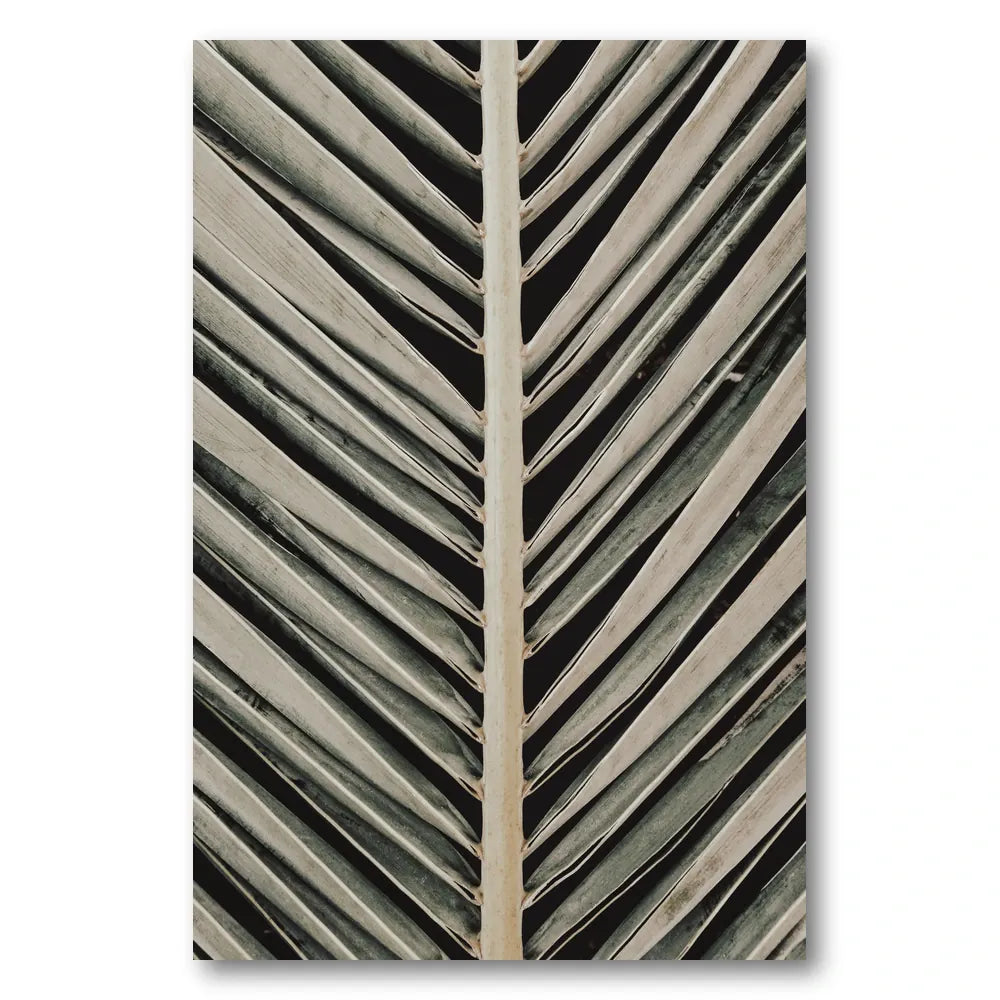 Palm Leaf Lines Photo Print