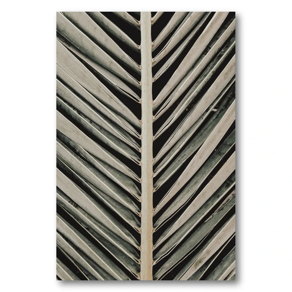 Palm Leaf Lines Photo Print