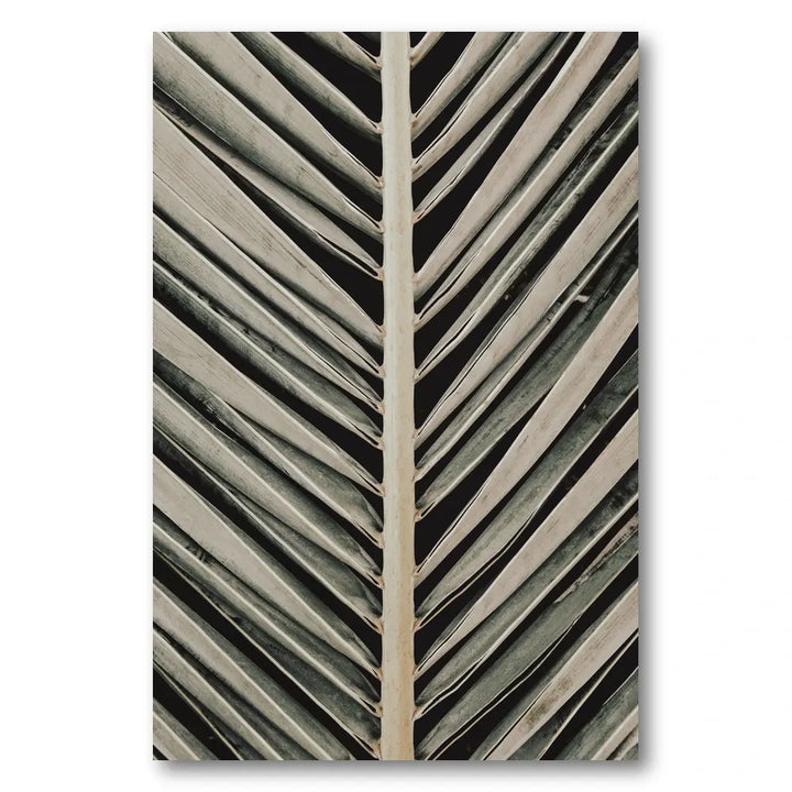 Palm Leaf Lines Photo Print