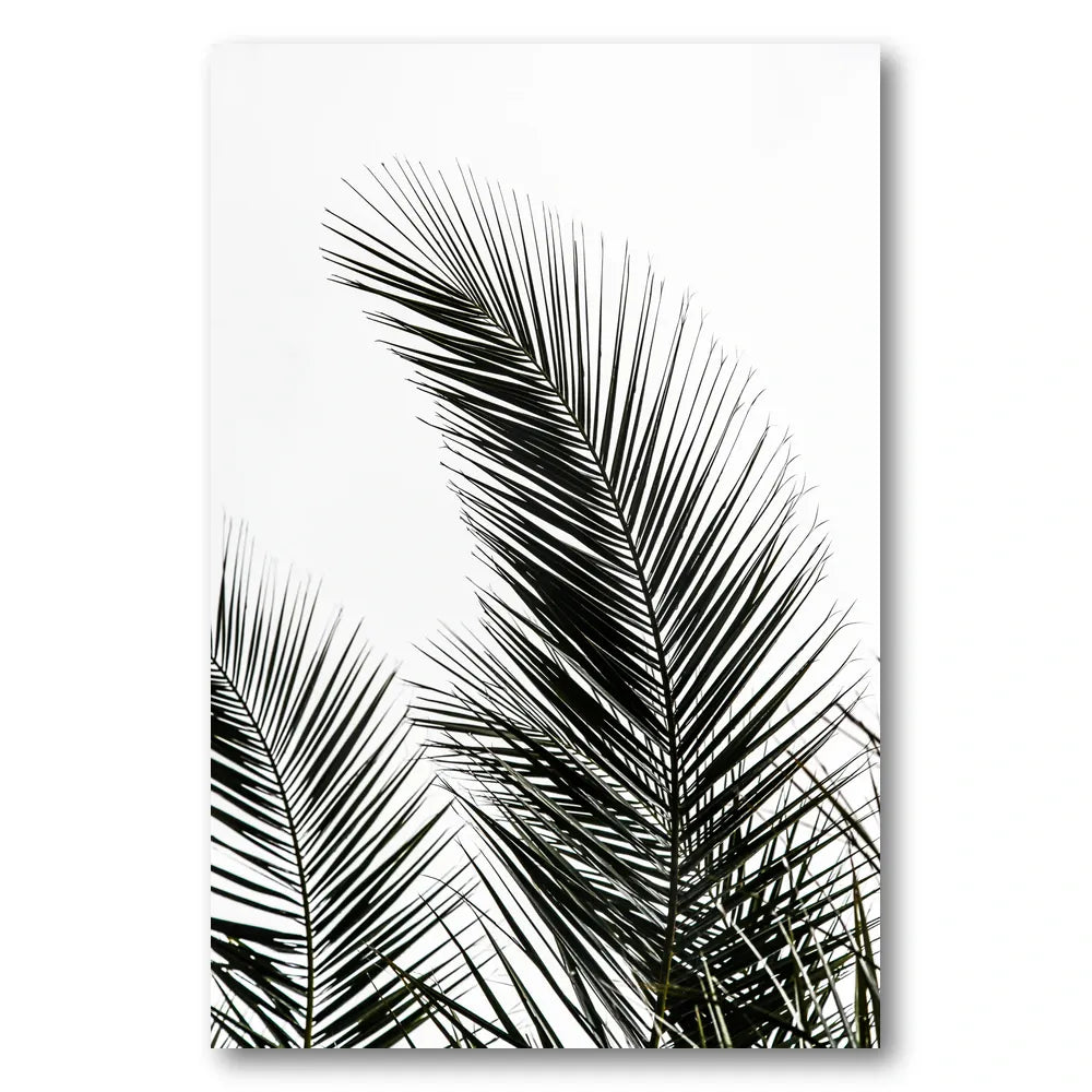 Palm Leaves 1 Photo Print