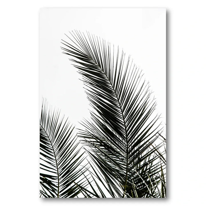 Palm Leaves 1 Photo Print