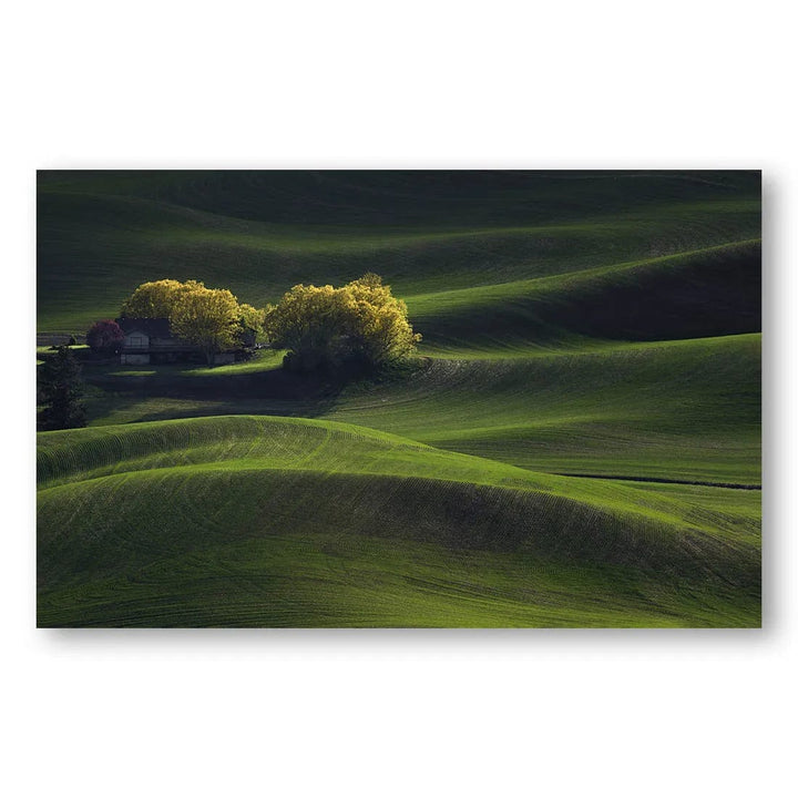 Palouse Serenity Farmhouse Photo Print