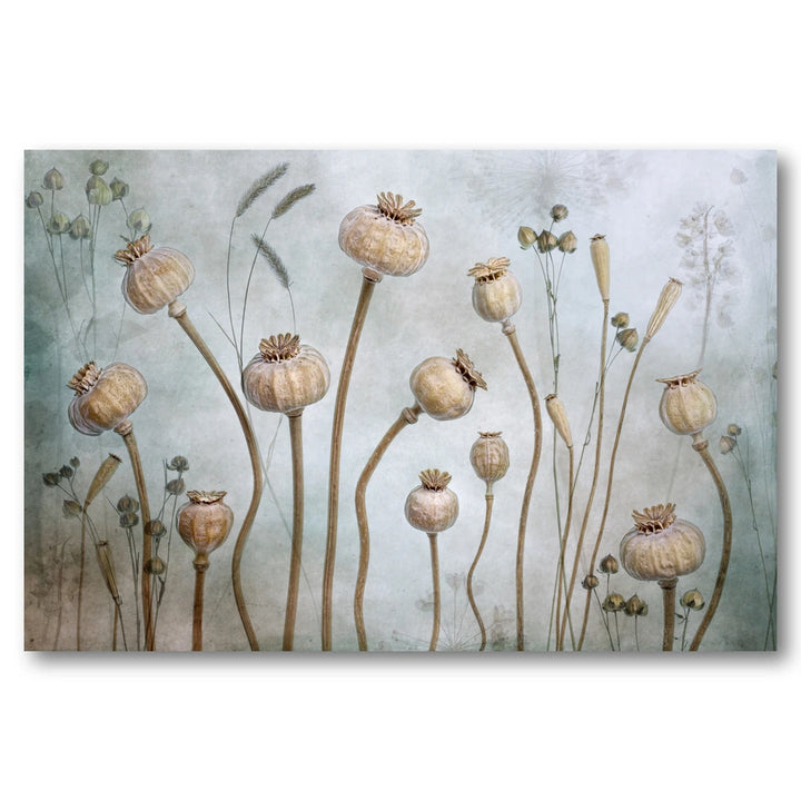 Papaver Art Print