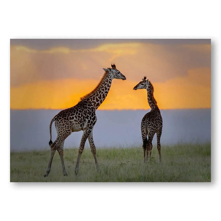 Sunset Giraffe Peace Photo Print