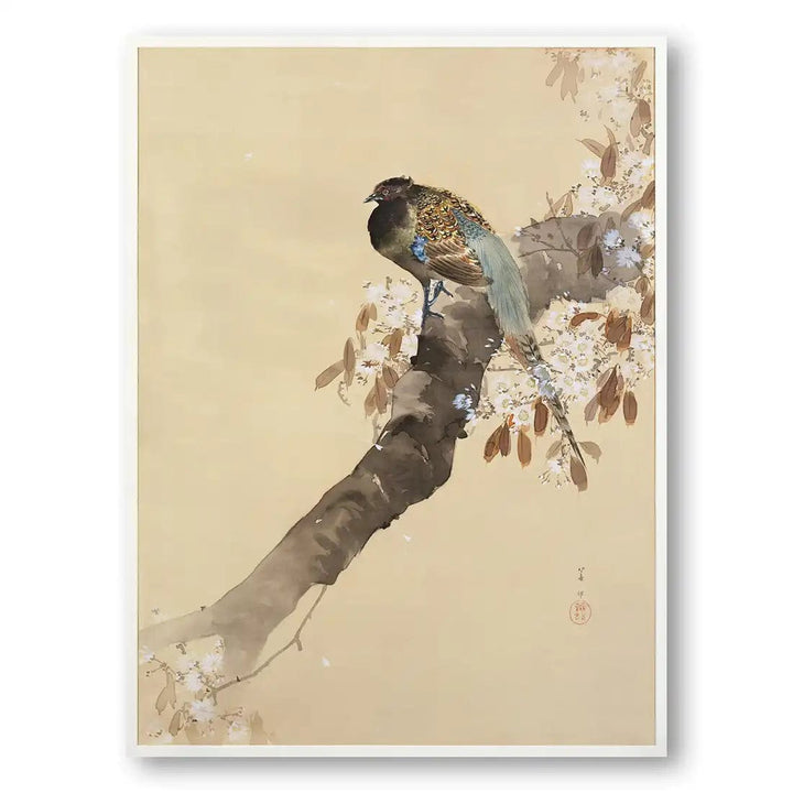 Pheasant on Cherry Blossom Branch Art Print