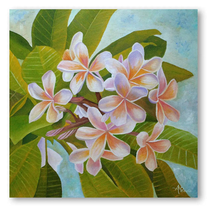 Plumeria In Bloom Art Print