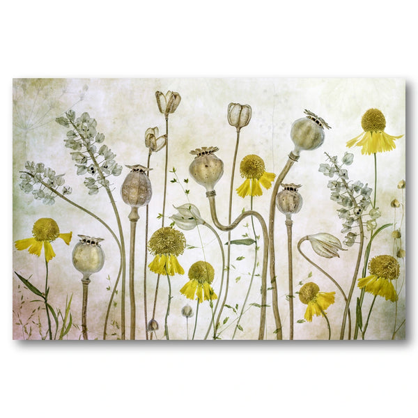 Poppies and Helenium Art Print
