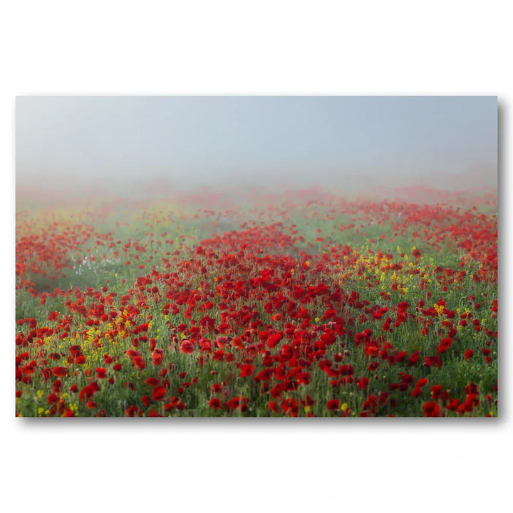 Misty Field of Poppies Art Print