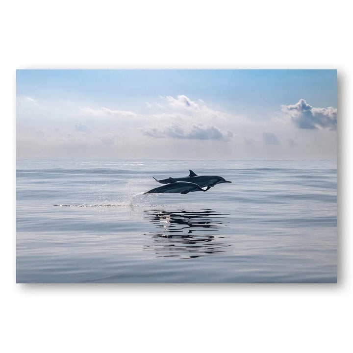 Ocean Serenity Photo Print