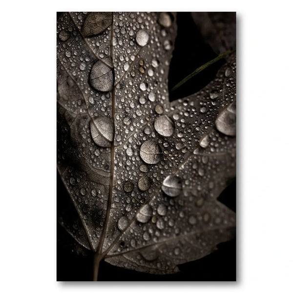 Rainy Fall Photo Print