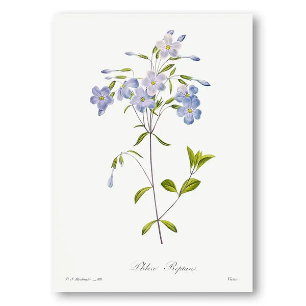 Ethereal Blue Reptans Art Print