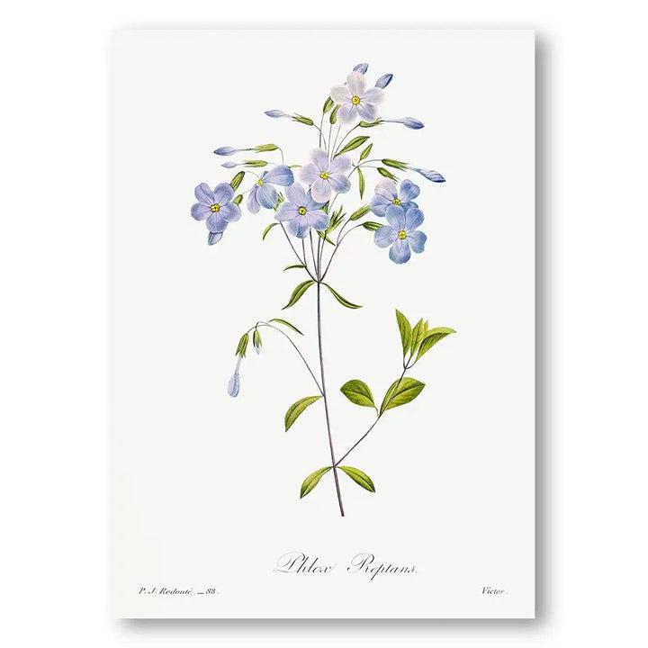 Ethereal Blue Reptans Art Print