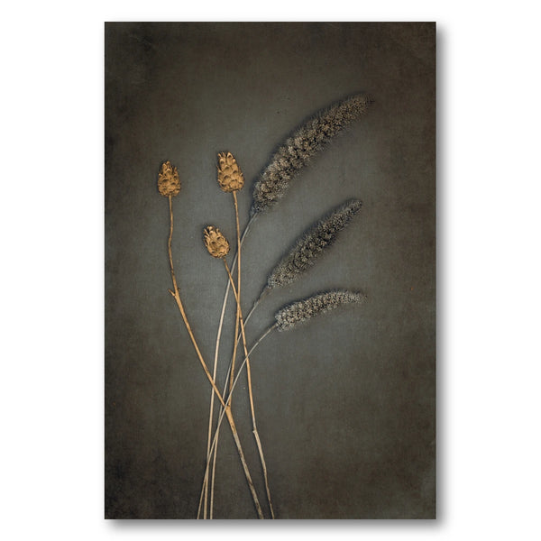 Rustic Dried Botanicals Photo Print