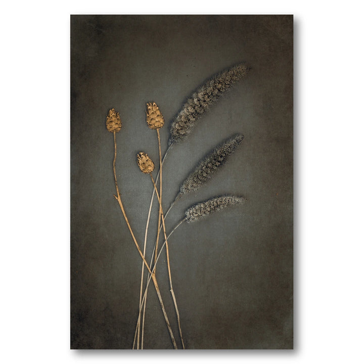 Rustic Dried Botanicals Photo Print