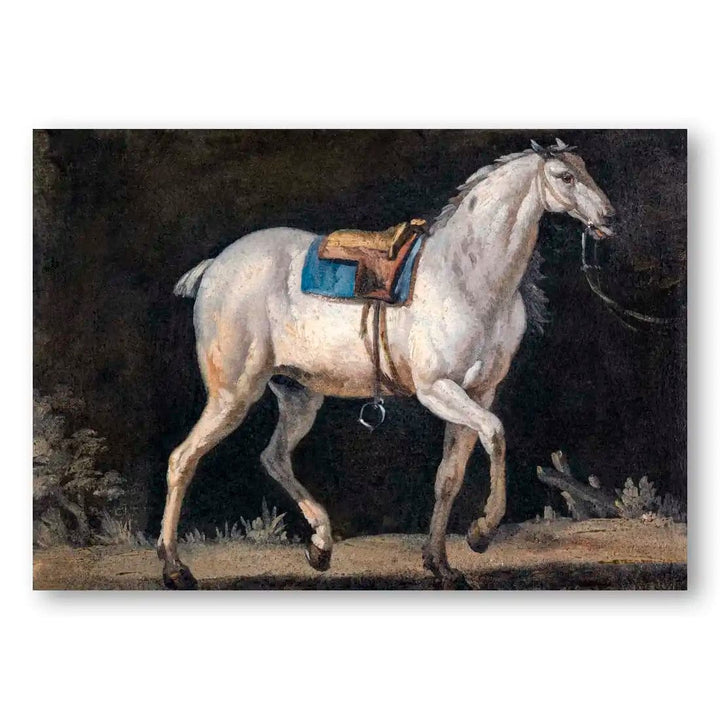 Saddled Grey Horse Art Print