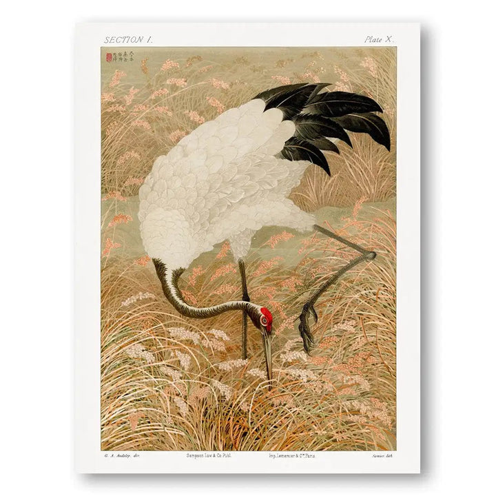 Sarus Crane in Rice Field Japanese Art Print