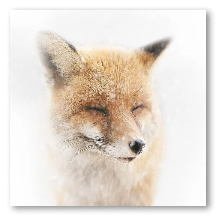 Satisfied Fox Photo Print