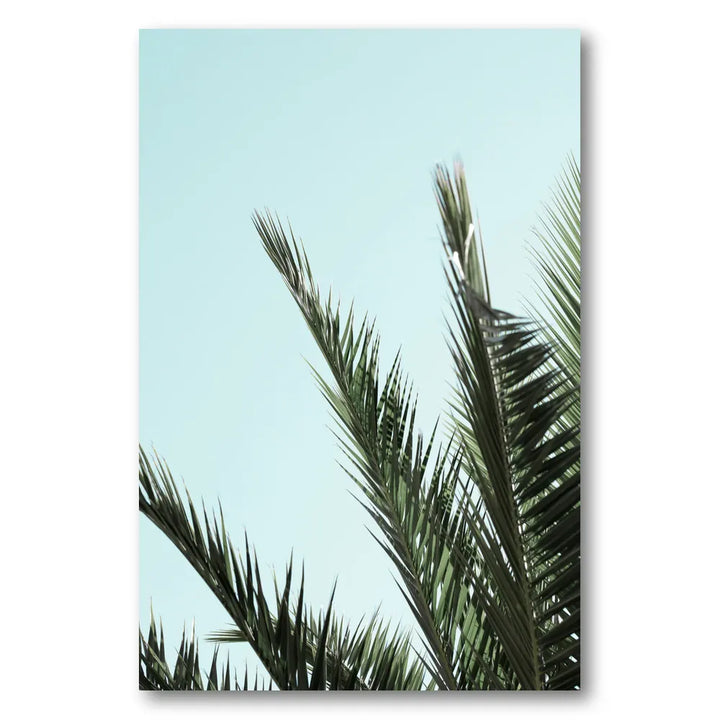 Serene Tropical Palms Photo Print