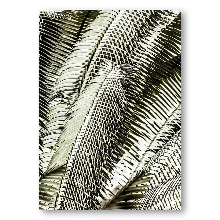 Shadow Leaf Patterns Photo Print