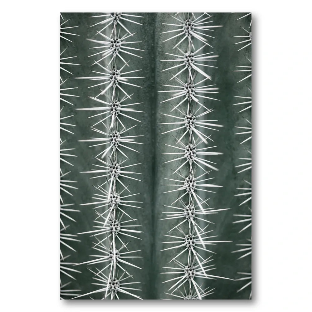 Sharp Cactus Pattern Photo Print